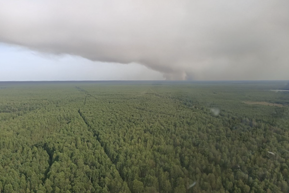 Пожар в Рязанской области в августе 2022 года. Дым растянулся на сотни километров и дошел до Москвы. Фото: Григорий Куксин
