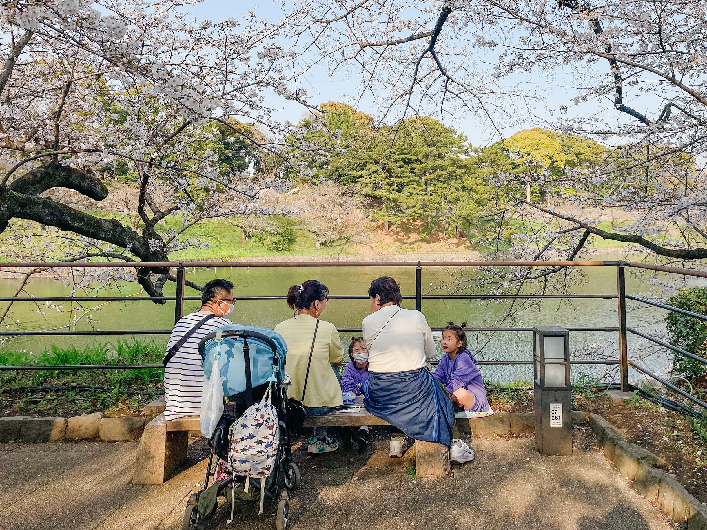 Когда деревья начинают облетать, посетителей в Green Way становится мало и можно спокойно погулять и полюбоваться цветами. Но и вечернюю подсветку уже не включают
