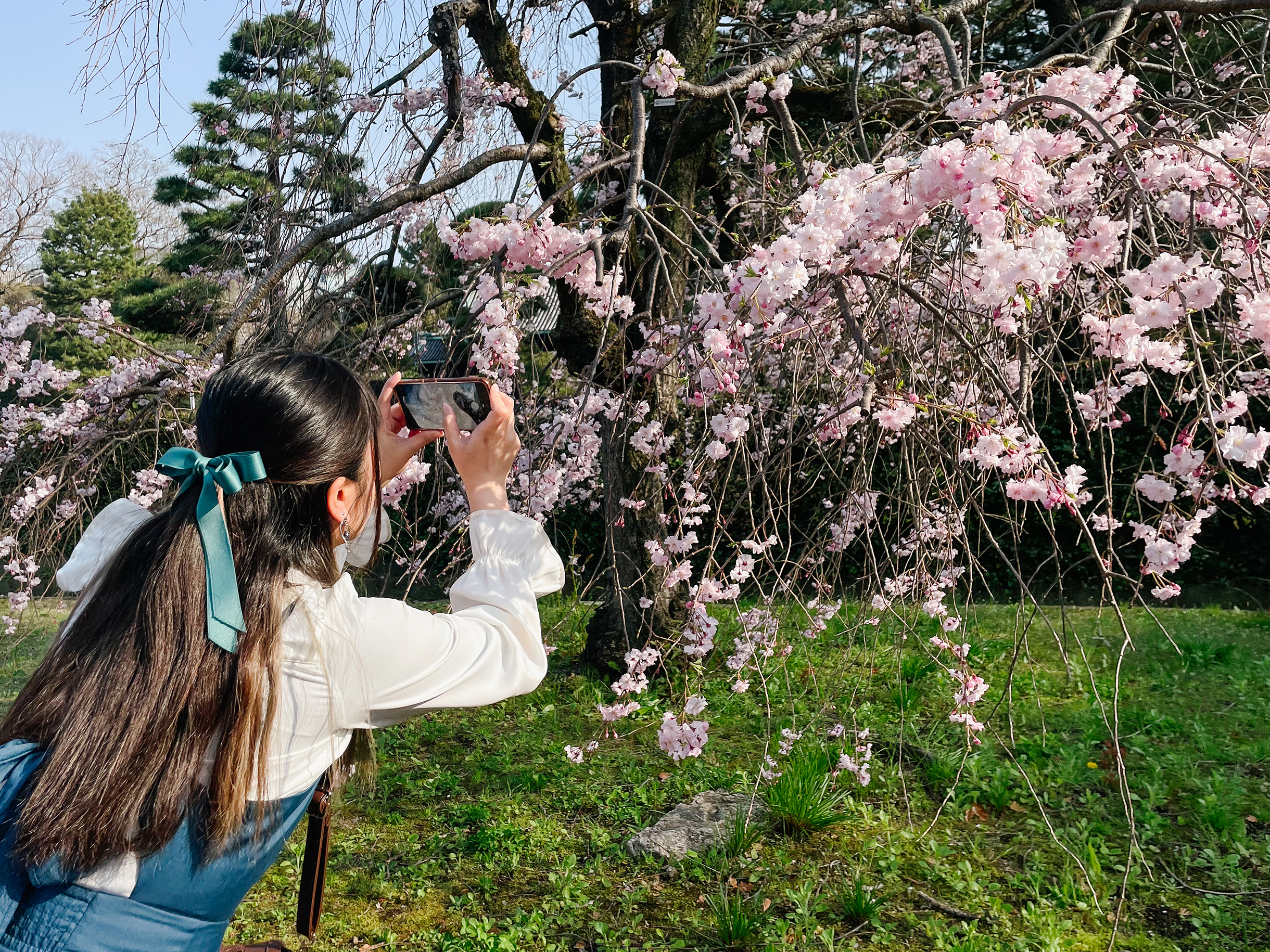 В этом году улица Инуи была открыта с 21 до 29 марта