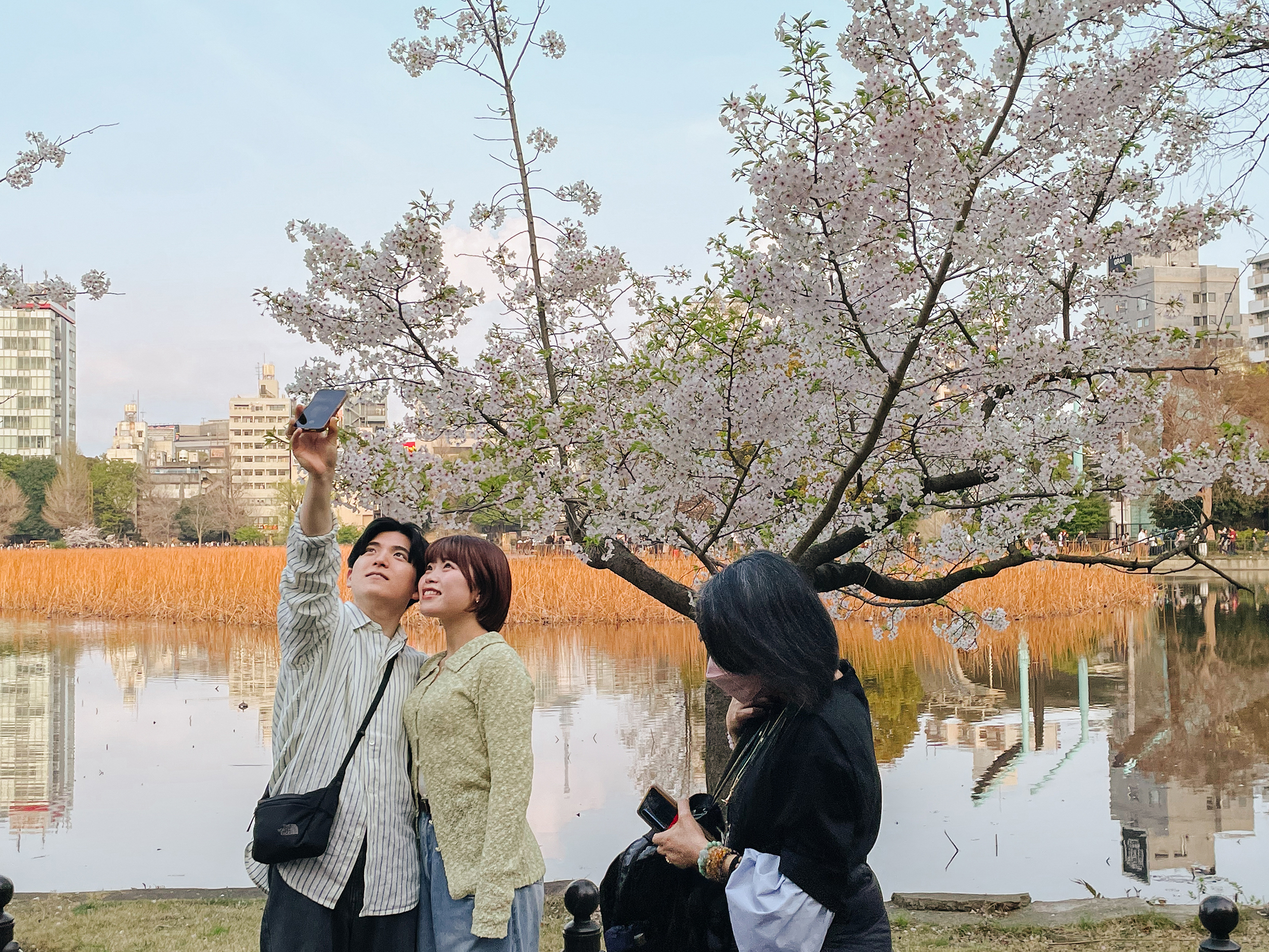 Можно сделать селфи на фоне деревьев