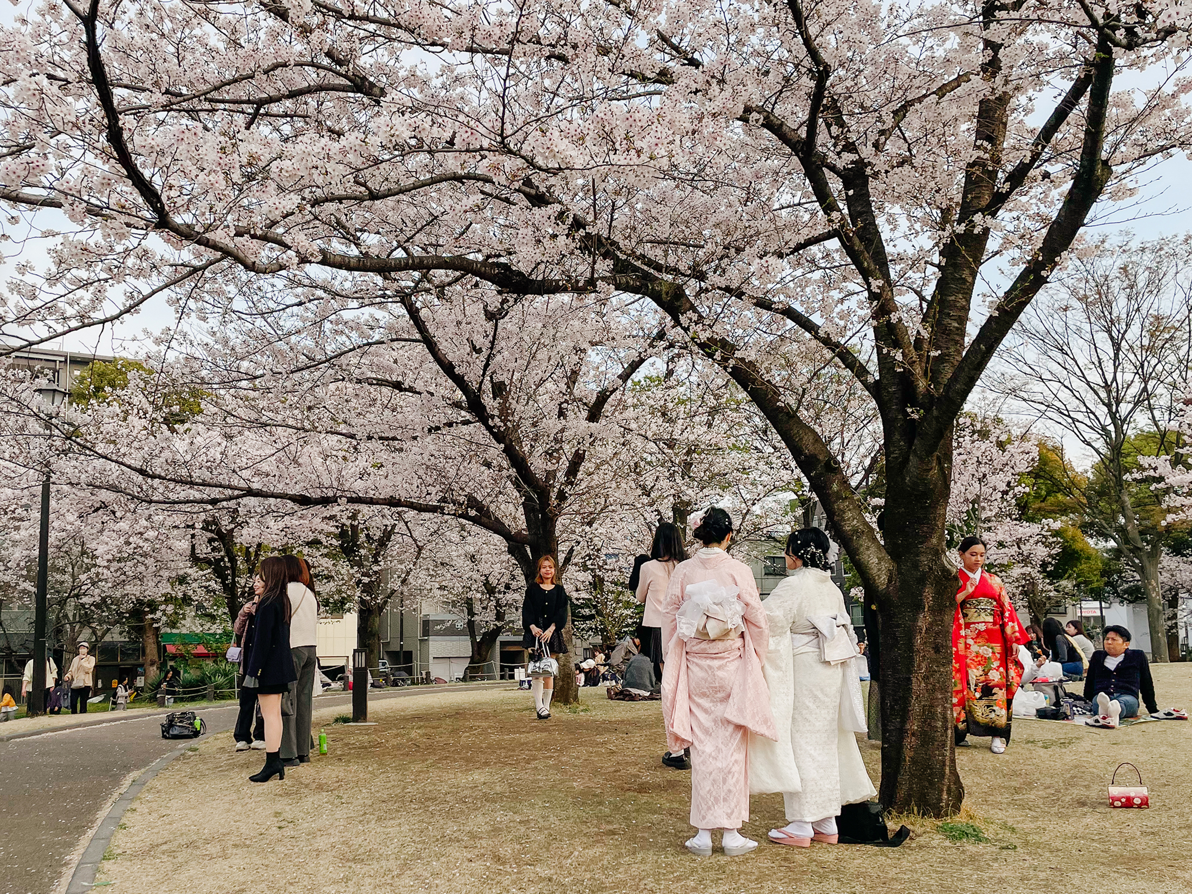 Некоторые туристы и местные жители надевают традиционные кимоно
