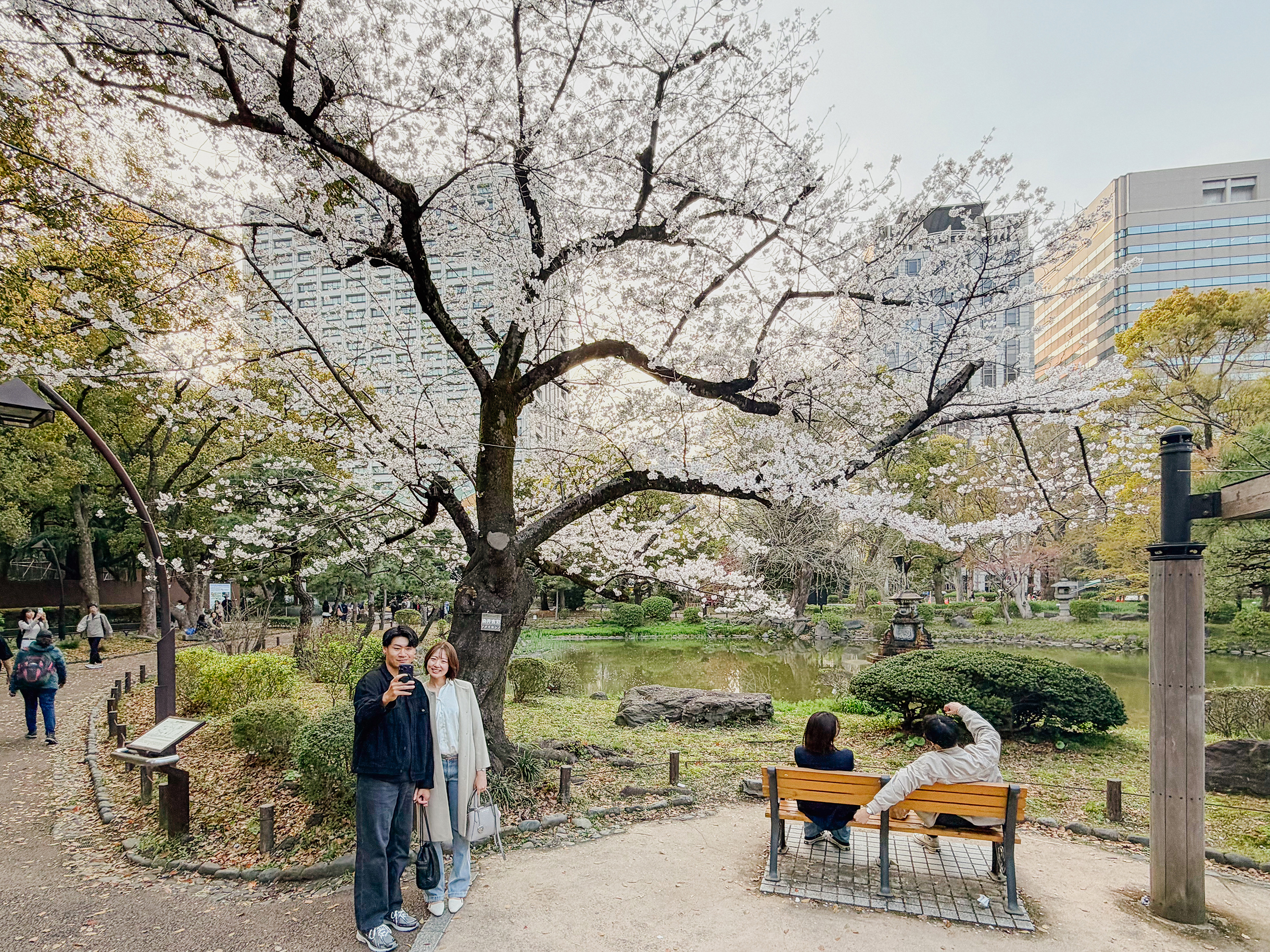 Люди фотографируются у сакуры в городе Чиба на востоке от Токио
