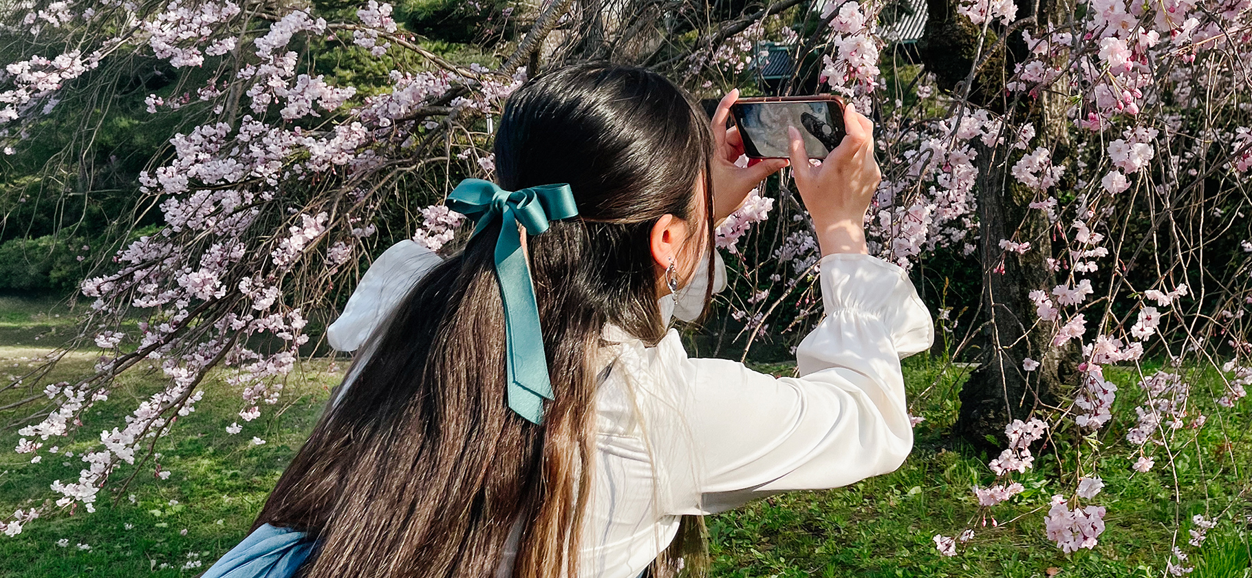 Толпы и пикники под каждым дере­вом: как в Токио и окрест­ностях любовались цвете­нием сакуры