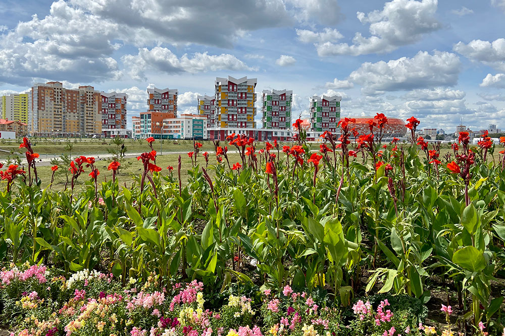 Саранск иногда называют столицей цветов и клумб. В городе их действительно много, и за ними регулярно ухаживают