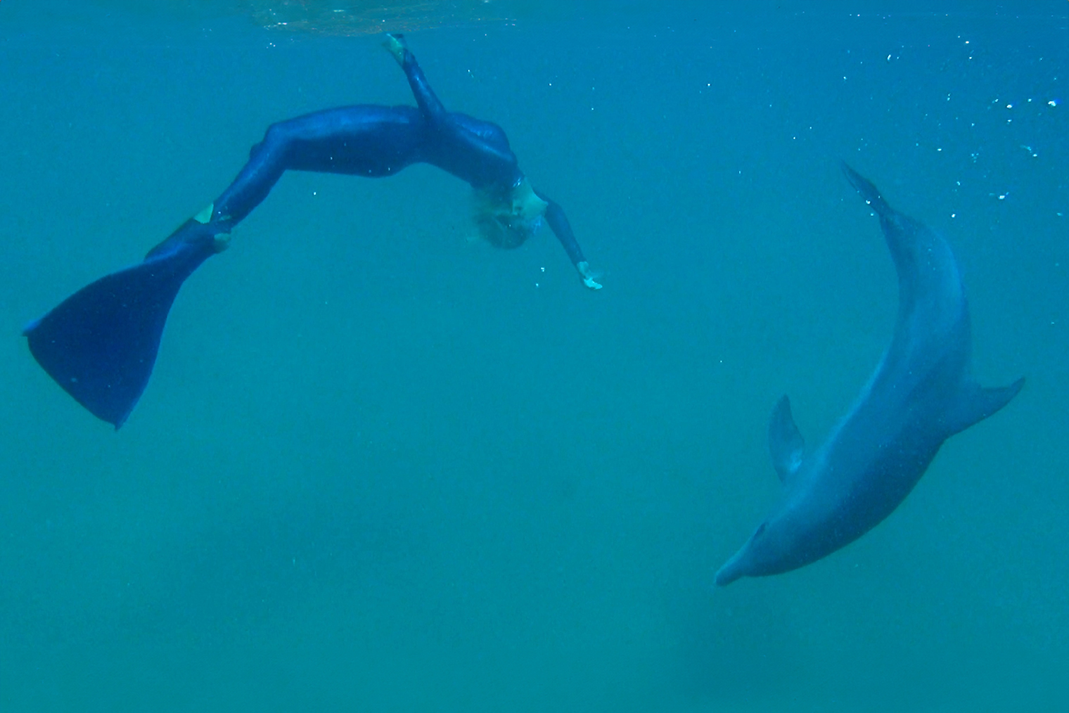 Когда я начинала заниматься фридайвингом, мне казалось, что я знаю о дельфинах все и чувствую их. Позже узнала, что такое ощущение есть у многих. При этом чем больше их изучаешь, тем сильнее осознаешь, насколько мало мы понимаем этих необыкновенных созданий. Фотография — «Дельфа»