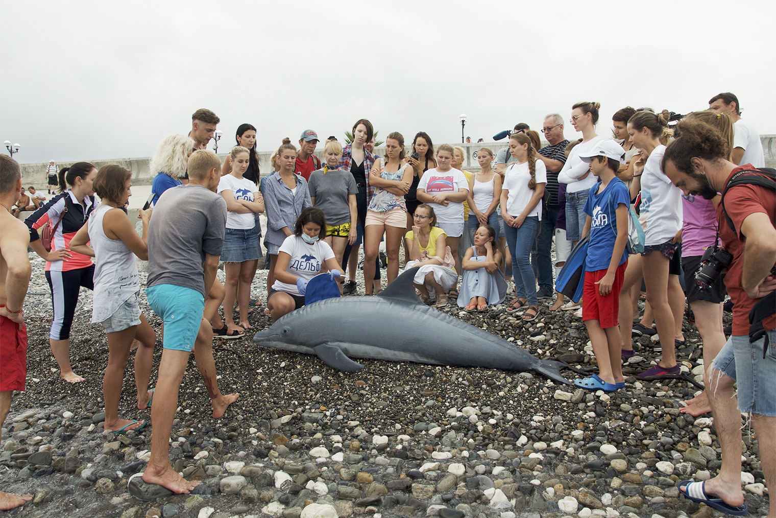 Показываем на надувной модели, как оказать первую помощь дельфину. Фотография — «Дельфа»