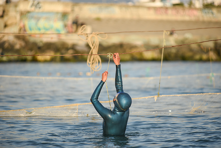 Мы никогда не повреждаем сети, чтобы освободить дельфина, а просто отвязываем и распутываем, а после возвращаем на место. Фотография — «Дельфа»