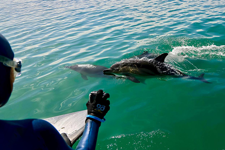 Мы не только ведем фотосъемку, но и записываем звуки китообразных — собираем коллекцию. Фотография — «Дельфа»