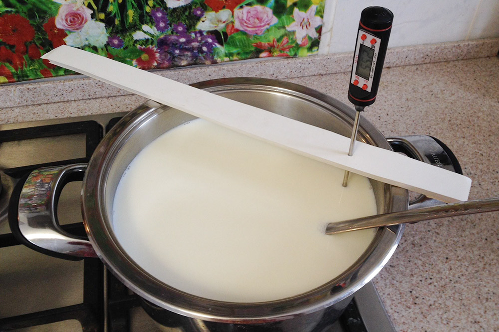 Сыр из козьего молока (брынза) - рецепт в домашних условиях