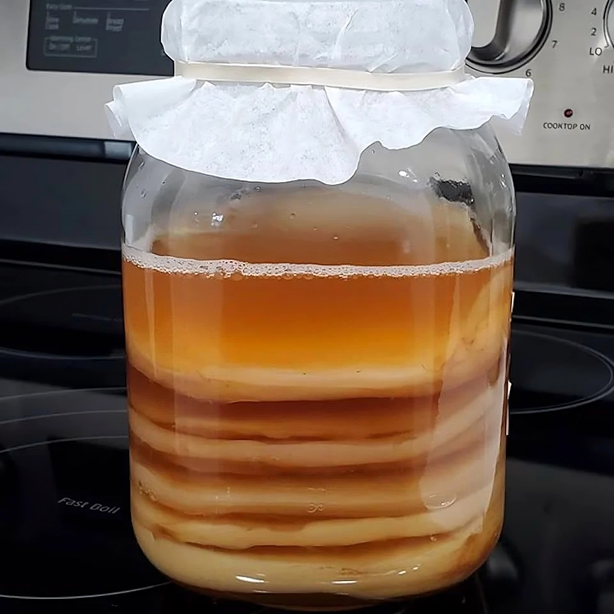 Как приготовить напиток из чайного гриба