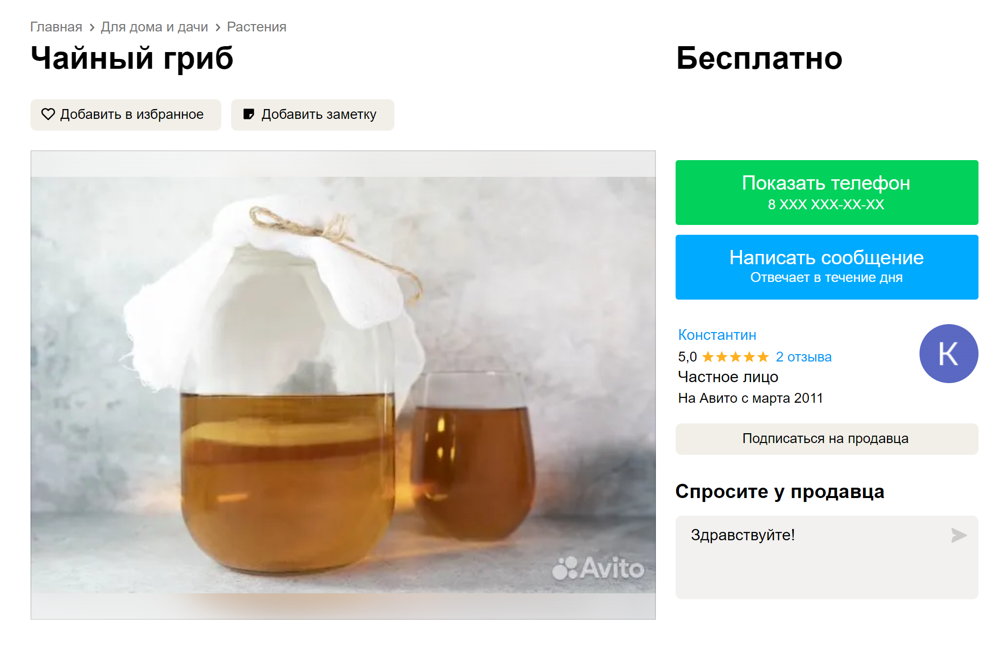 Здоровый чайный гриб. Таким готовы поделиться за пакет сахара. Источник: avito.ru