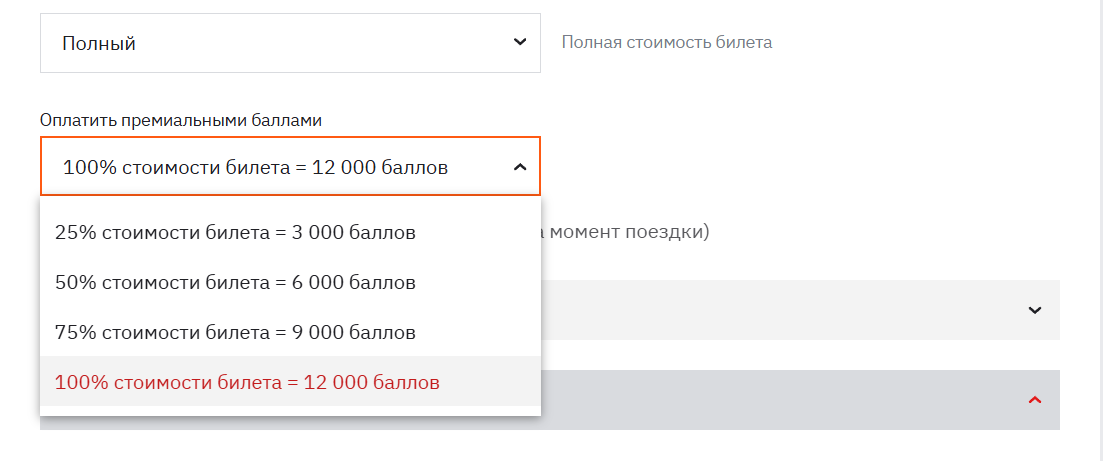 Как частичная оплата билета бонусами выглядит на сайте