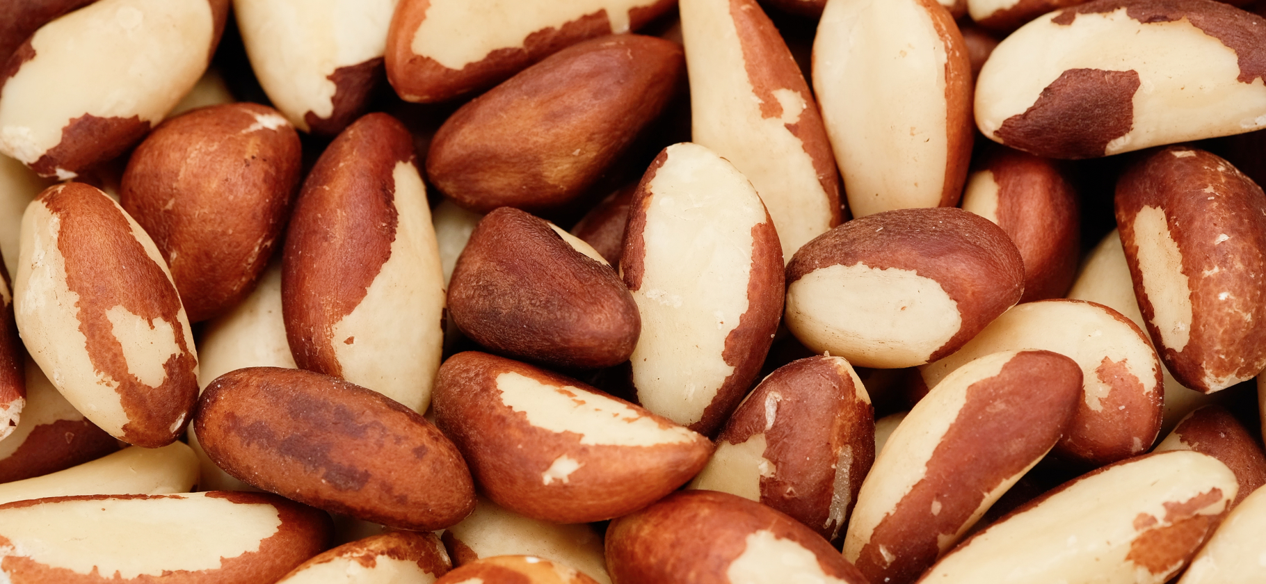 9 продуктов, богатых селеном