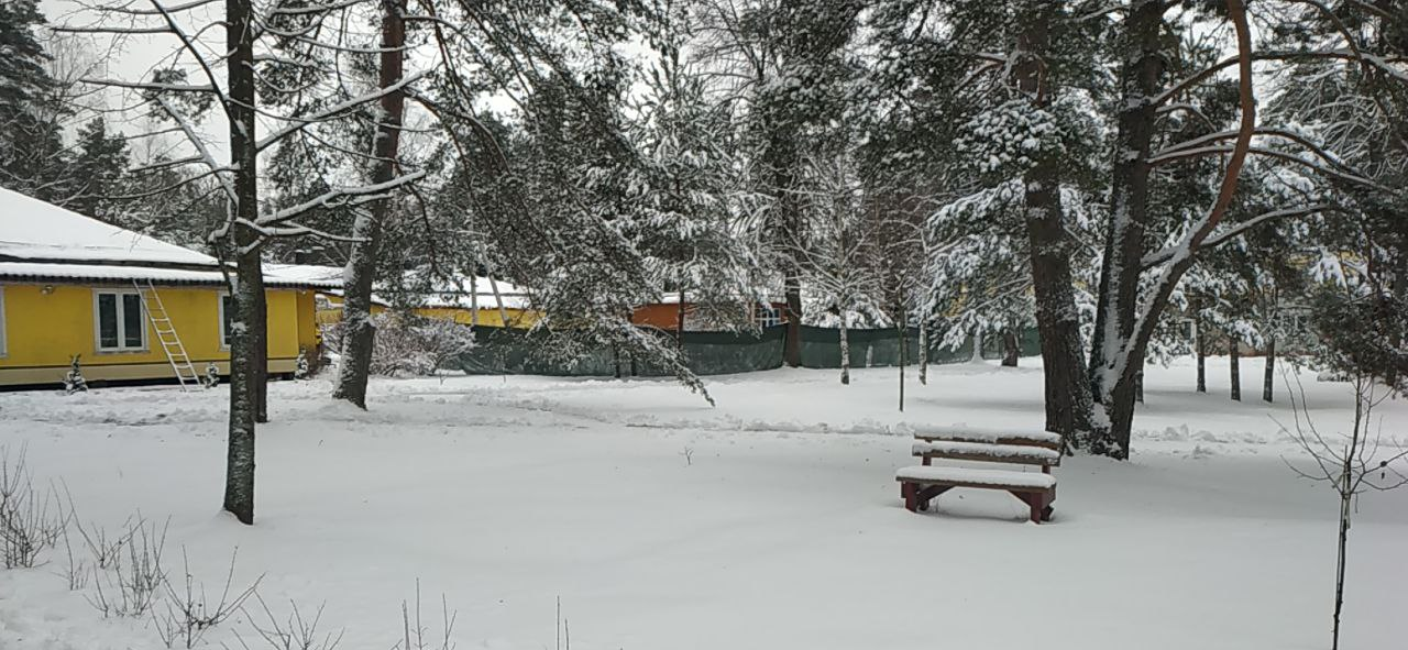 Как я прошел курс випассаны по Гоенке в Подмосковье