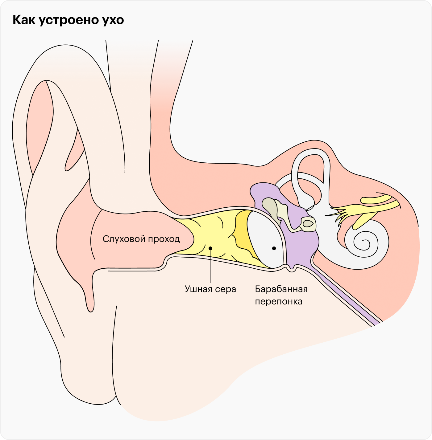 Выделения из уха – норма или тревожный симптом?