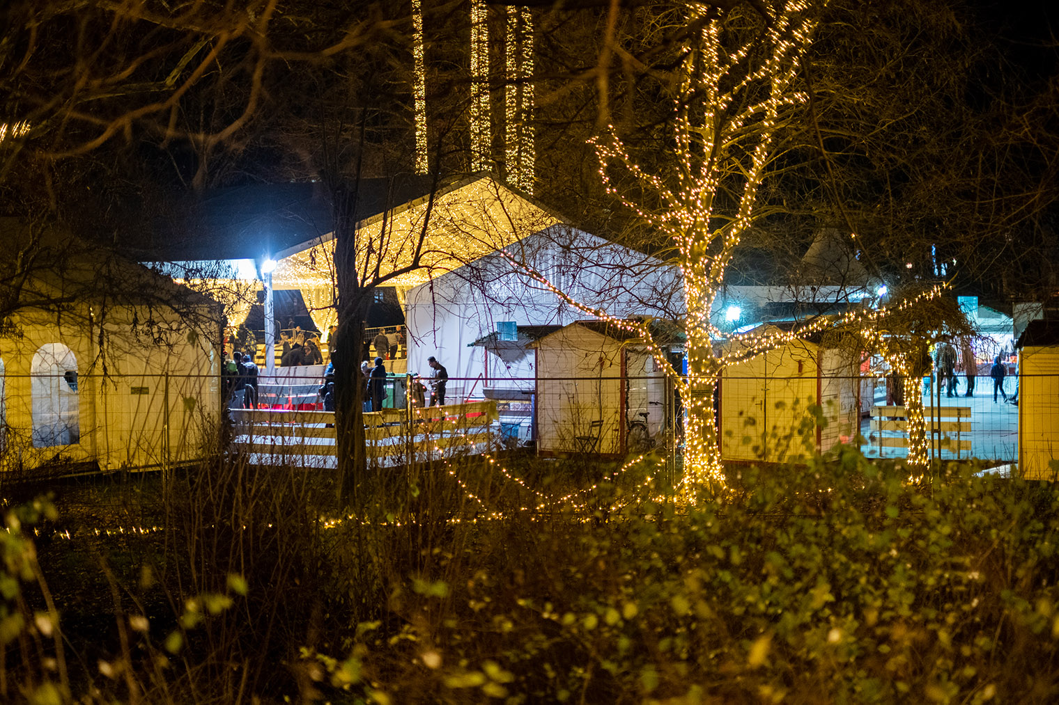 Перед Новым годом в парке работали каток и ярмарка, где в основном продавали сладости
