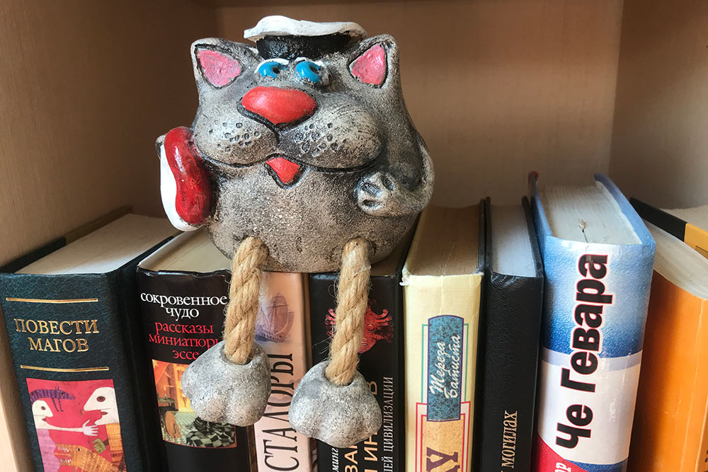 Теперь кот⁠-⁠матрос живет у меня на книжной полке
