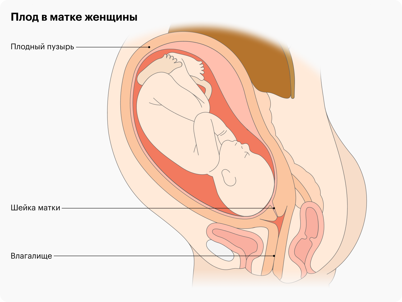 Топ-6 удобных поз для секса во время беременности