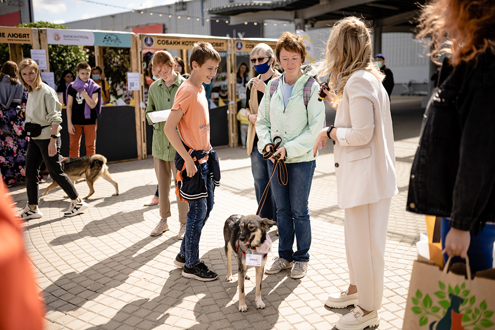 Фестивали «Собаки, которые любят» — одна из важнейших глав деятельности фонда. На них каждый желающий может найти себе верного друга