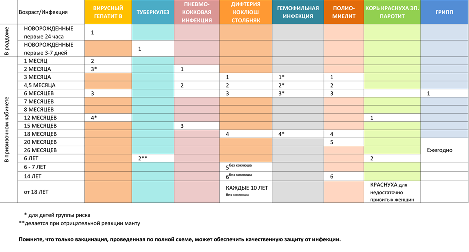 Национальный календарь профилактических прививок