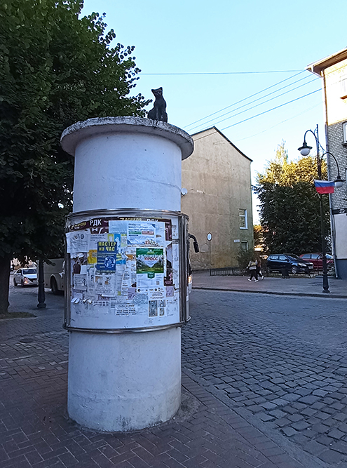 Кот сидит на информационной колонне неподалеку от автовокзала