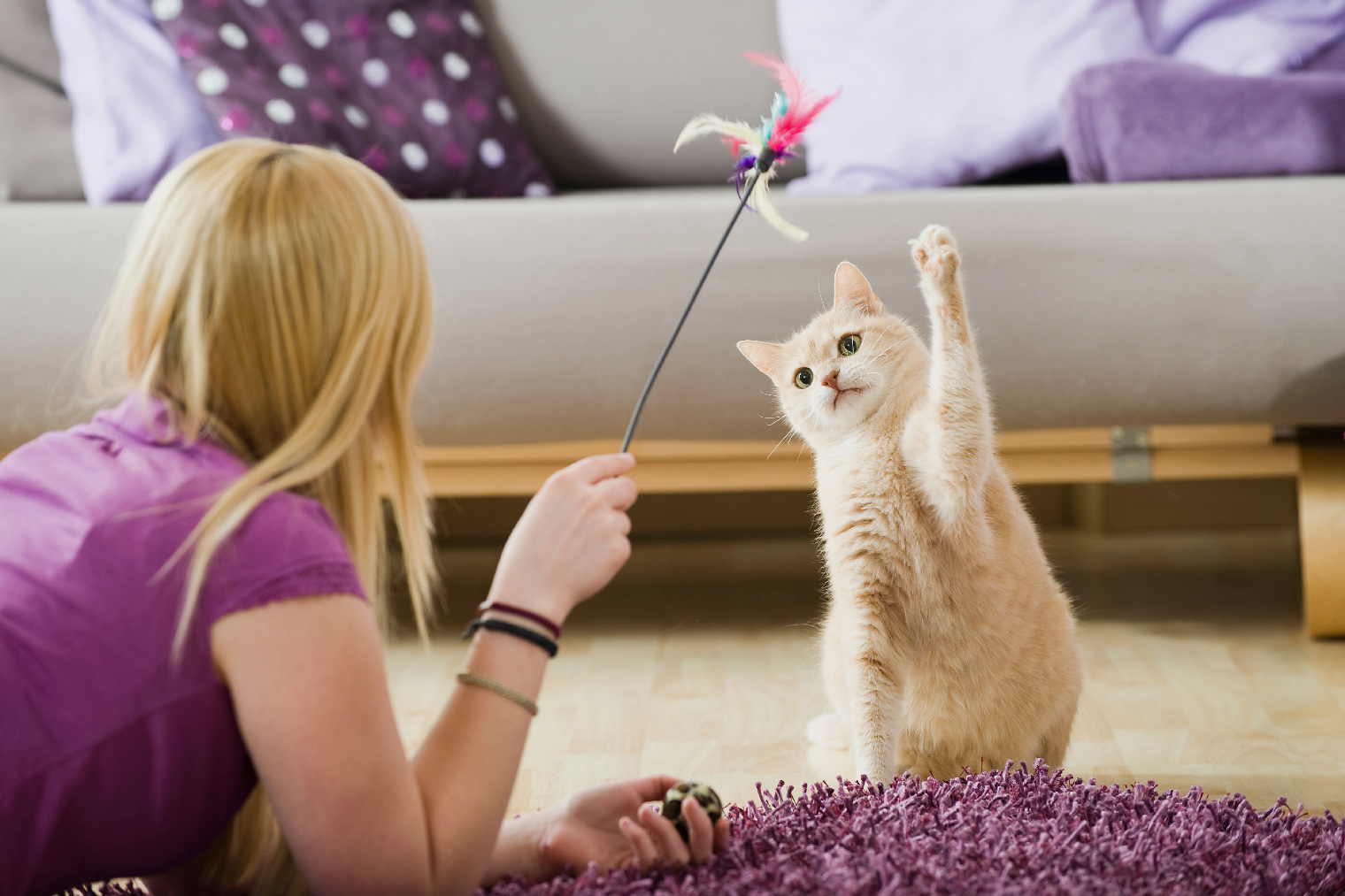 Кошка может кусать вас случайно, если вы держите игрушку прямо в руке. Для того чтобы держать разыгравшуюся кошку на расстоянии, существуют игрушки-удочки. Фото: Dora Zett / Shutterstock