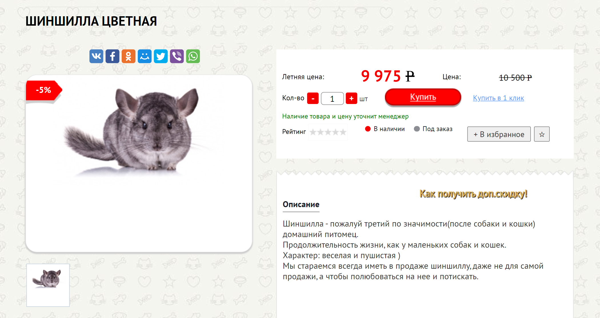 В Новосибирских зоомагазинах шиншиллы только стандартного окраса. Цена завышенная — обычно такие стоят от 2000 ₽