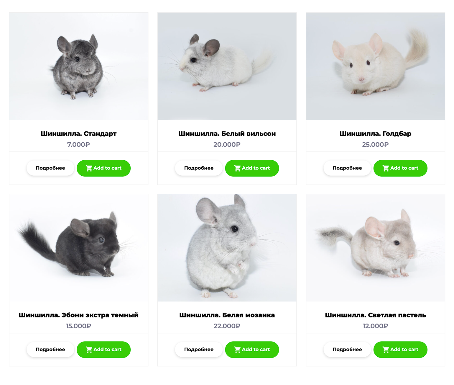 В московских питомниках можно найти шиншилл нестандартных окрасов. Заплатить за них придется в два⁠-⁠три раза больше, чем за обычных. Источник: купитьшиншиллу.рф