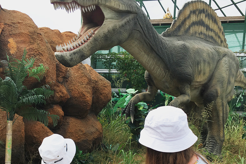 Узнали много нового о динозаврах в «Парке Юрского периода» в поселке Джубга