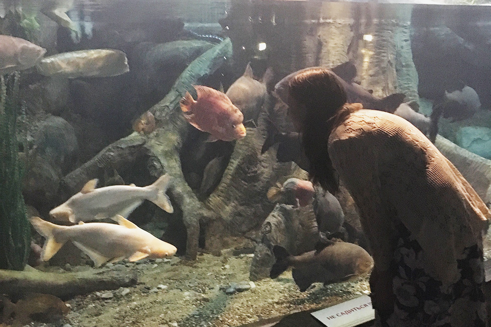 Познакомились с морскими обитателями в океанариуме Sochi Discovery World Aquarium