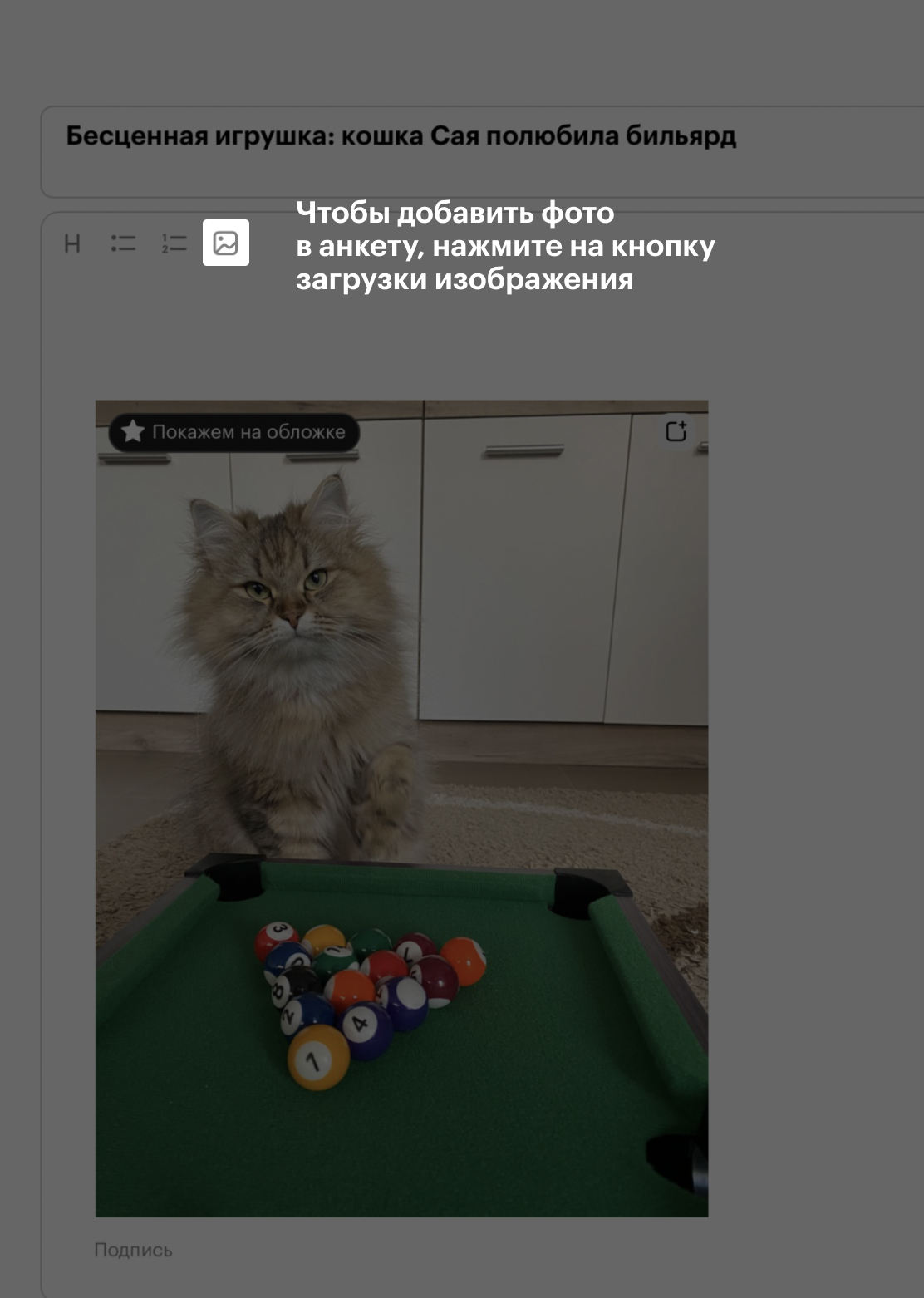 Чтобы добавить фото в анкету, воспользуйтесь кнопкой загрузки изображения