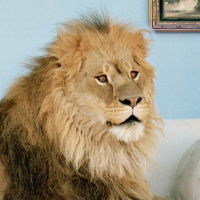 Обложка статьи