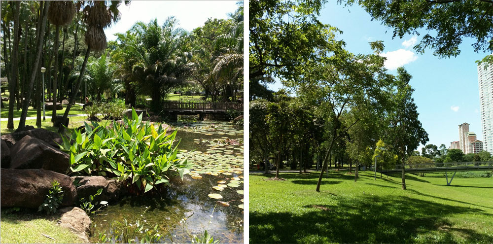 В Сингапуре много парков, все они удобные и ухоженные и расположены повсеместно
