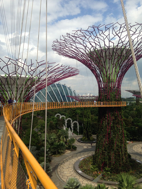 Сады у залива — один из новых символов Сингапура