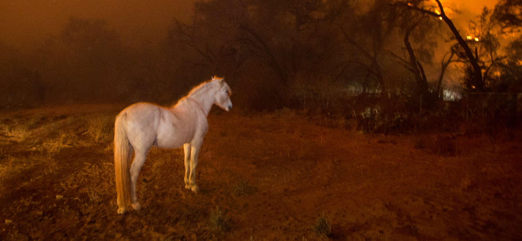 «Дом сгорел, когда мы были на работе»: 10 историй о пожа­рах