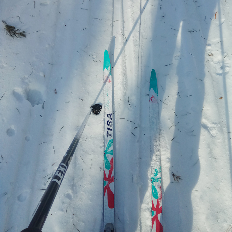 Подготовка лыж - Спортивная Линия