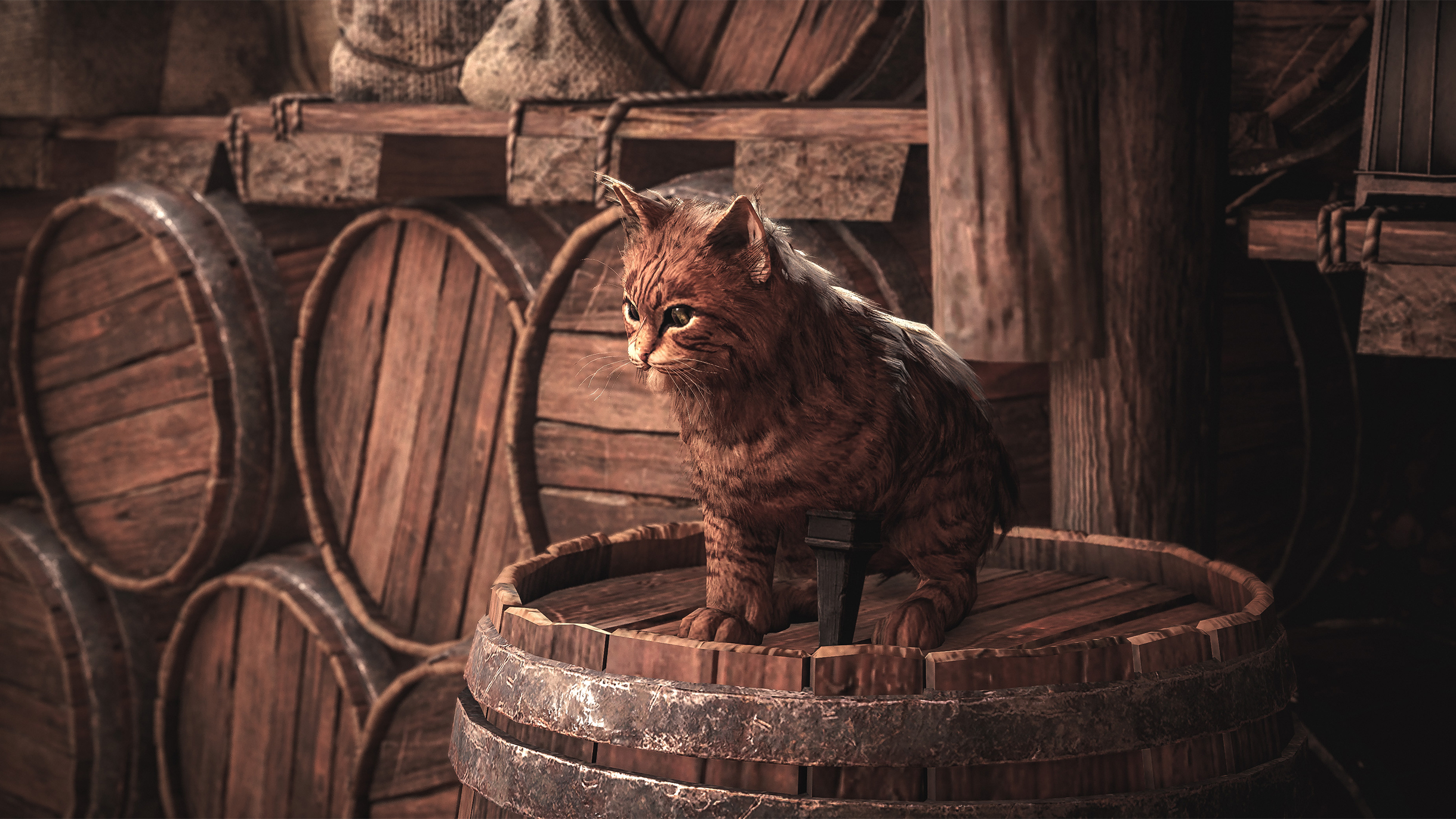 Единственный персонаж с деревянной ногой — котик из таверны городка Сент-Анн