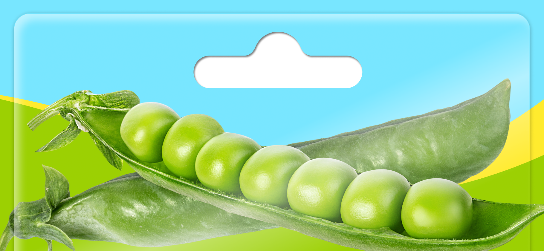 Как вырастить слад­кий и сочный горох