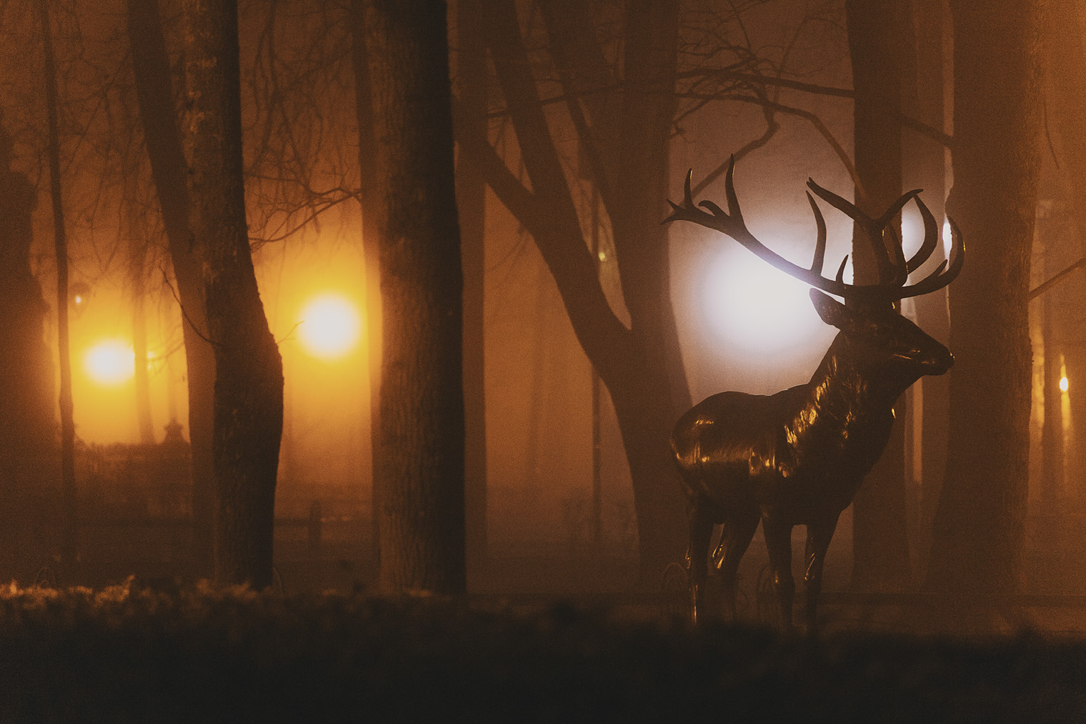 В туманные вечера порой кажется, что это не сквер в центре города, а настоящий лес с живым оленем