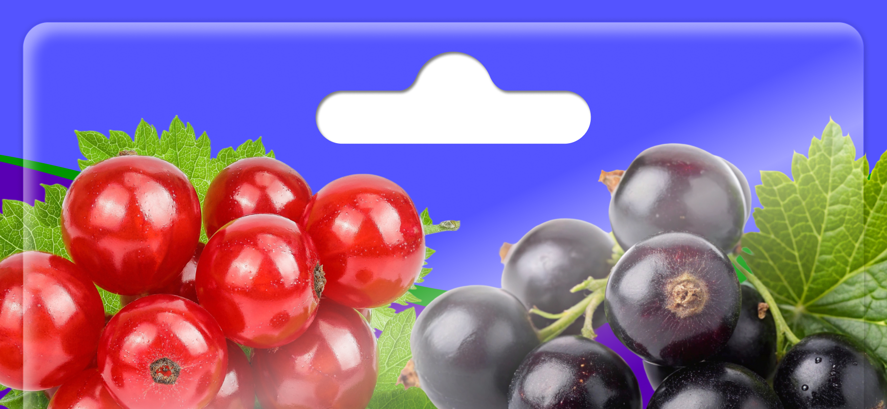 Как вырастить на даче смородину