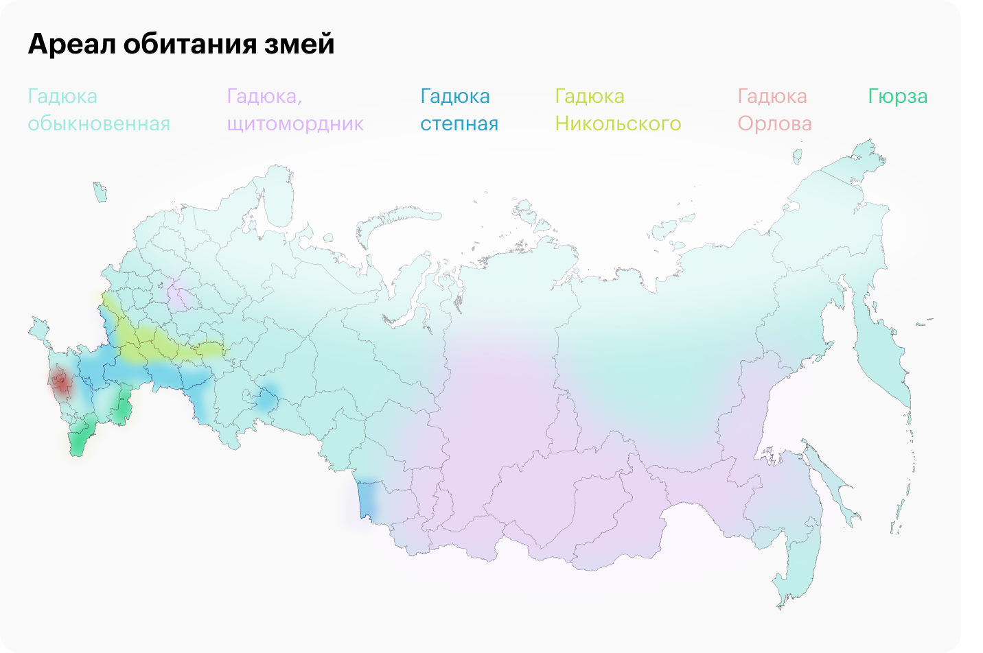 Укус змеи: что делать, как выглядит укус ужа и гадюки, как помочь  пострадавшему