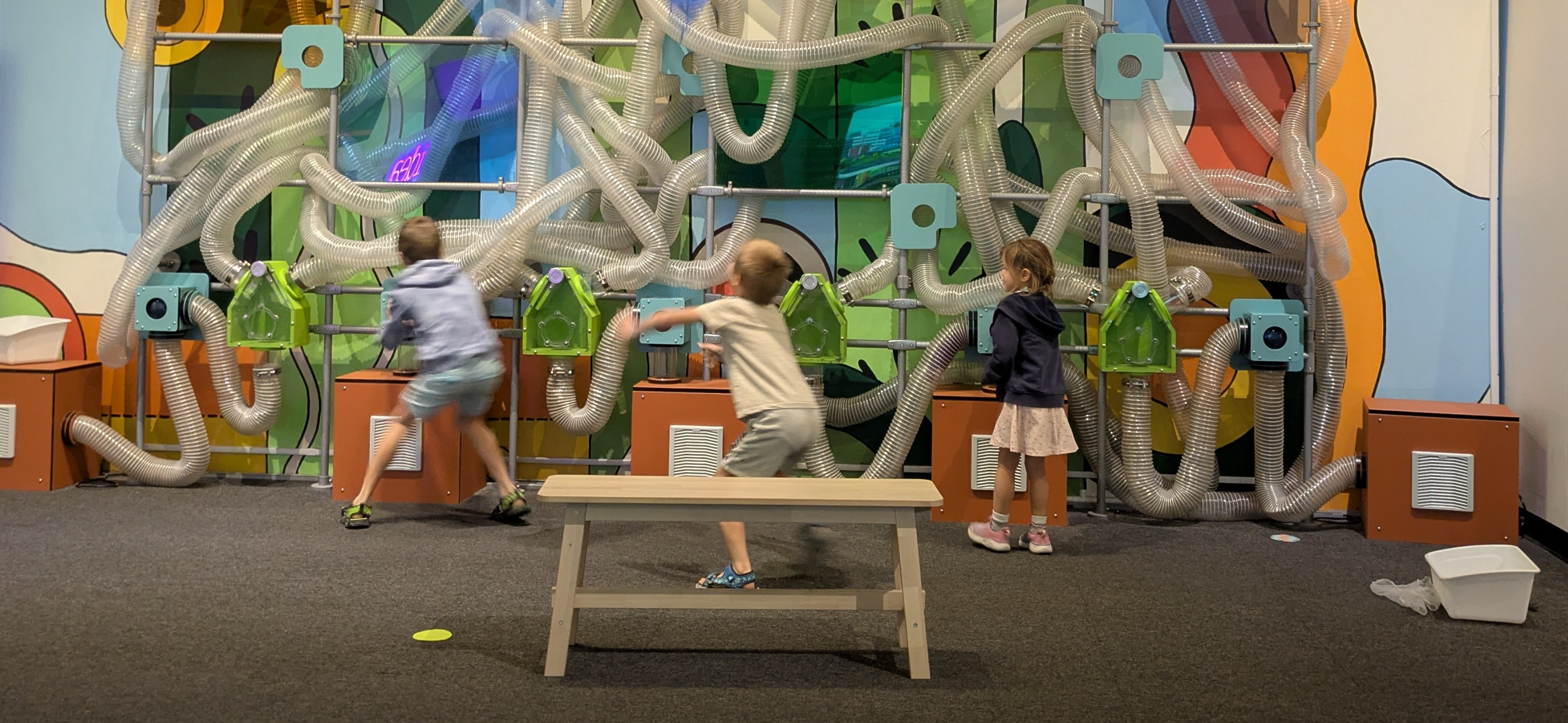 Кактусы, монстр-траки и пеликаны: как мы провели зимние каникулы без снега в Аризоне