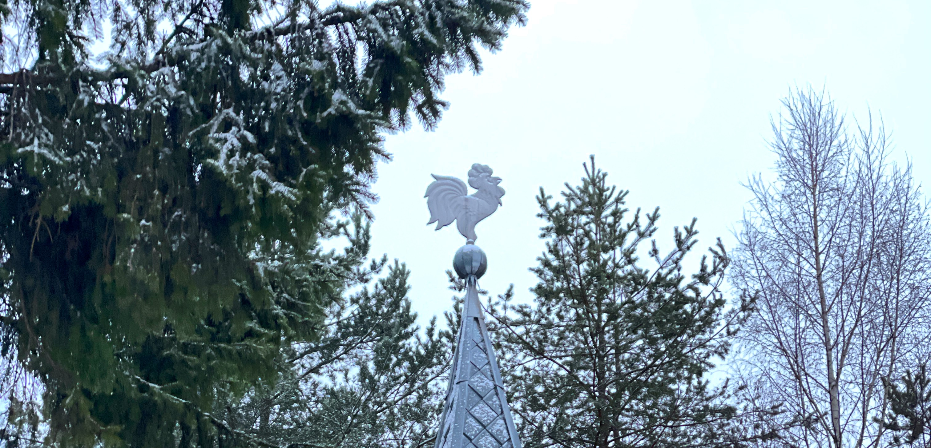 «Сказочная изба в заснеженном лесу»: как я отдохнула в деревне Мандроги в Ленобласти