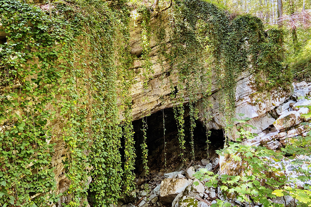 Над пещерой висит плющ — словно гигантская занавеска