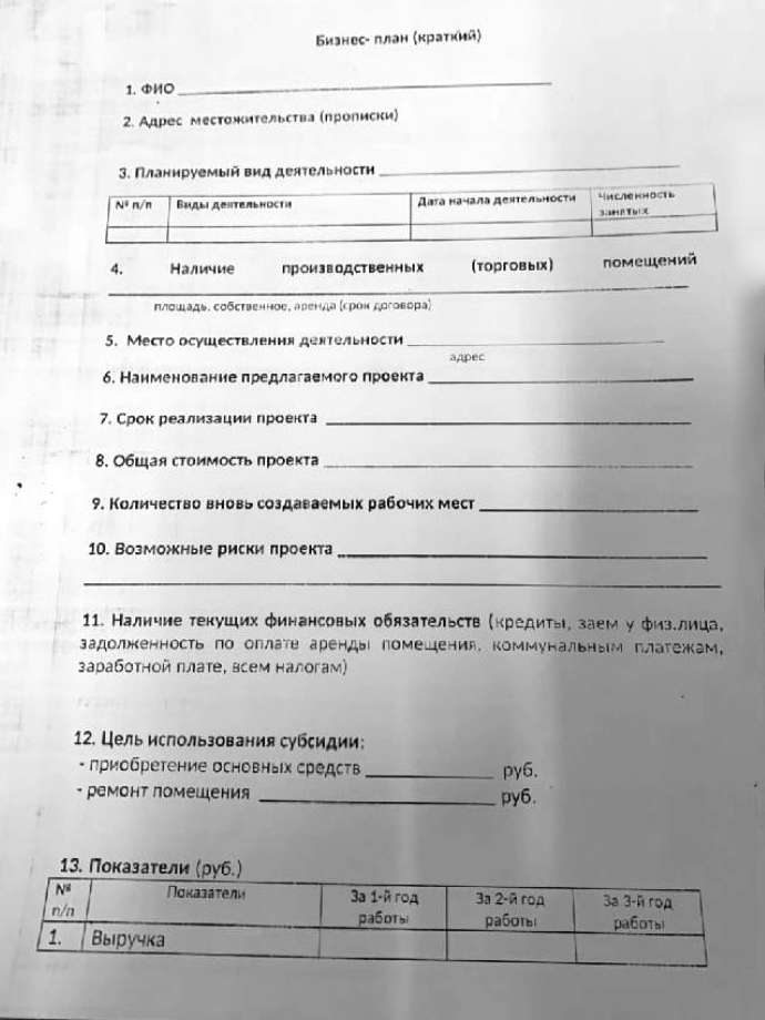 Это образец бизнес-плана, который давали в управлении соцзащиты Нижнего Новгорода. Он очень сжатый, мои клиенты используют эту анкету как резюме проекта