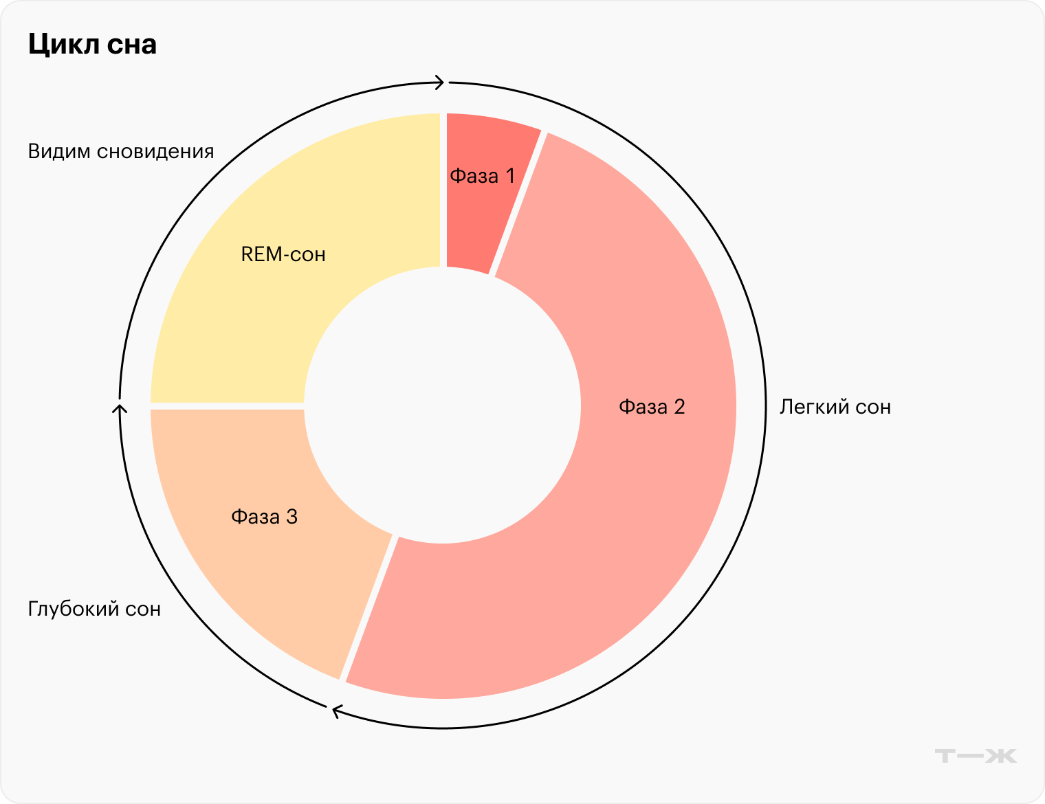 Первые две фазы следуют за засыпанием — это легкий сон. Потом человек погружается в глубокий сон, а в конце цикла будет быстрый сон, в который мы видим сновидения. Все четыре фазы длятся полтора-два часа, а потом повторяются