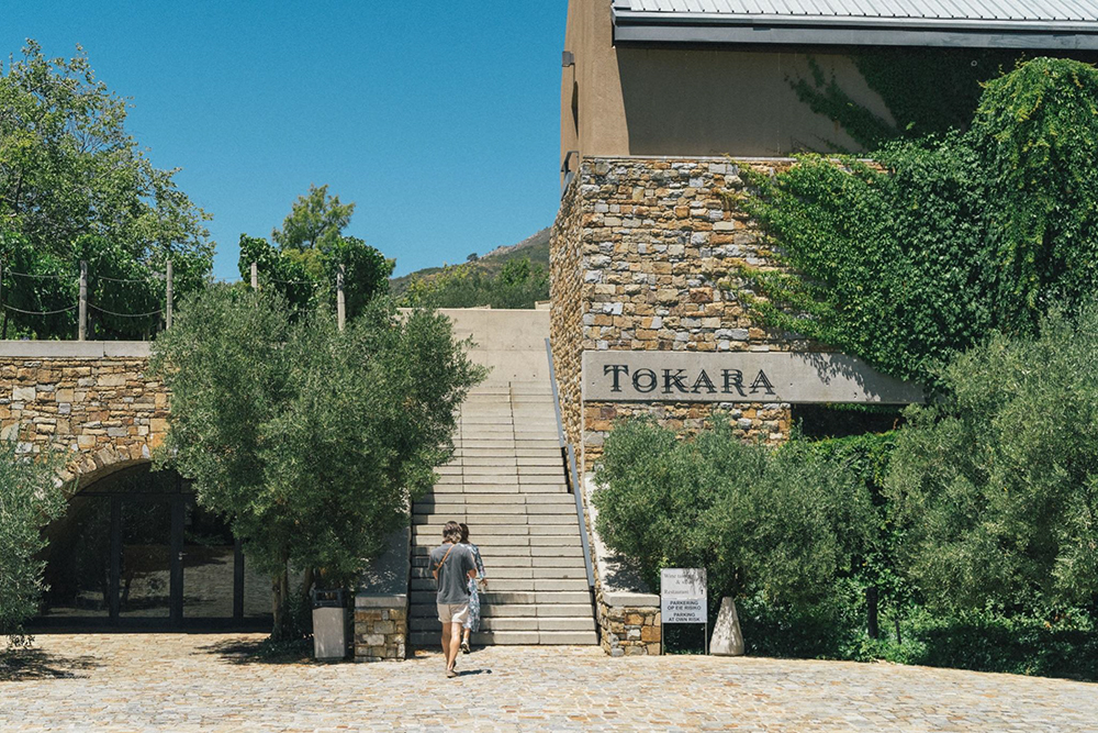 Нам понравилась винодельня «Токара»: отличное вино, вкусное оливковое масло, арт-инсталляция и открытые для посещения виноградники