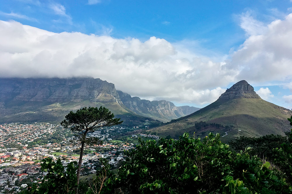 Львиная голова — справа, Столовая гора — слева. Это вид с Сигнального холма — еще одной возвышенности в центре Кейптауна. Заехать туда можно на машине