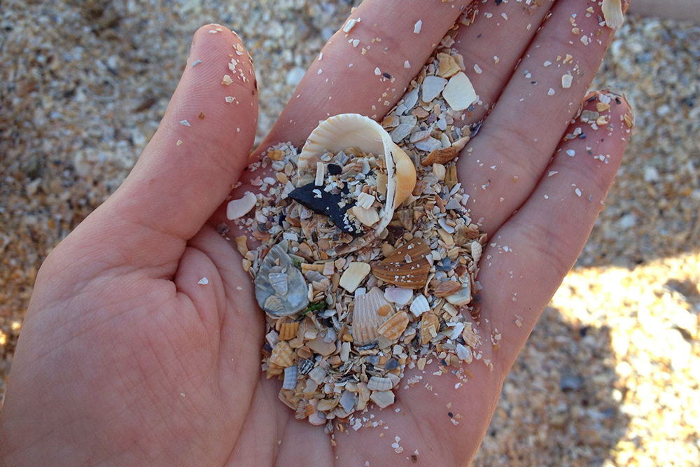 Пляж в Голубицкой необычный: он покрыт осколками ракушек. Правда, они липнут к телу, и потом сложно себя отмыть