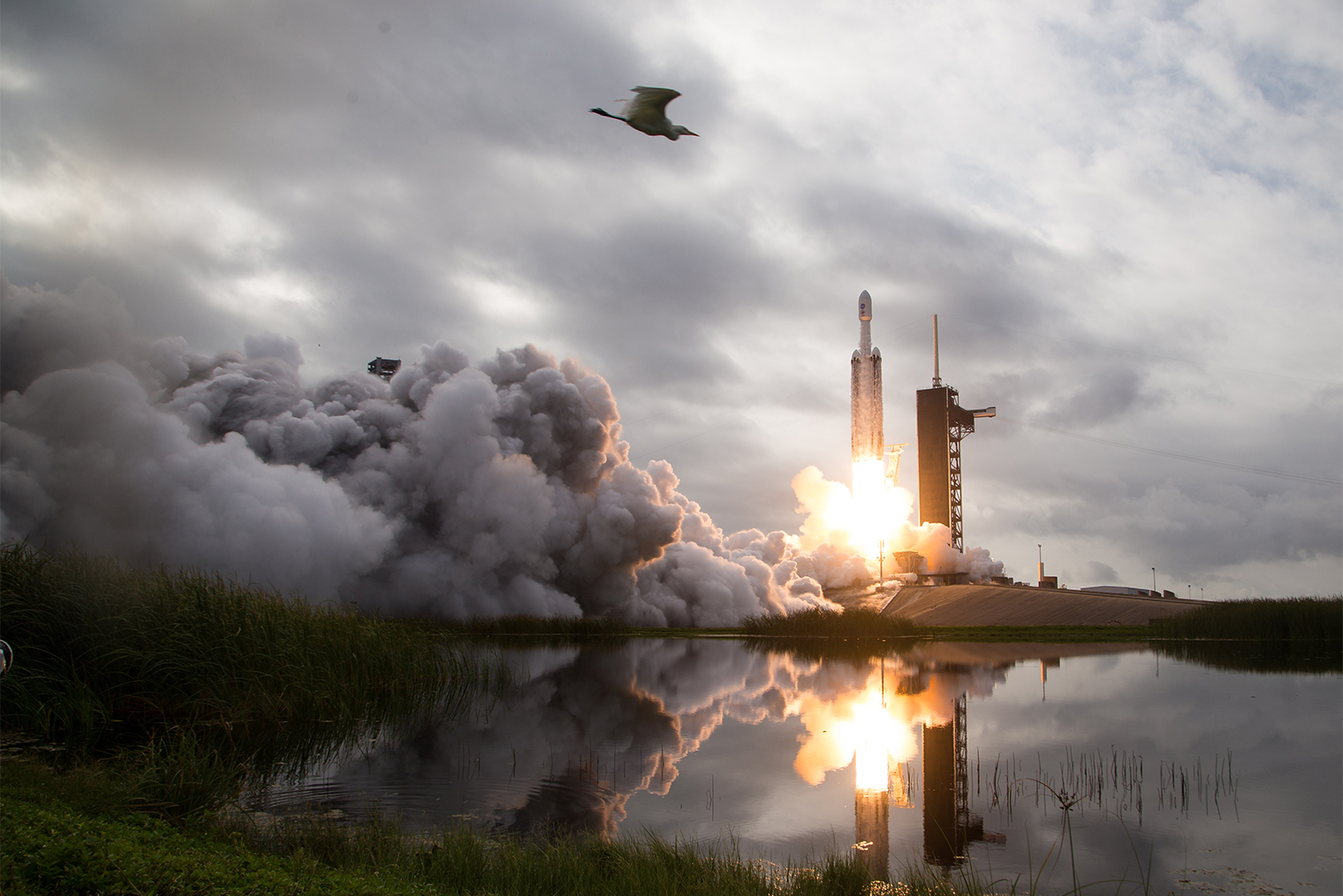 Запуск тяжелой ракеты SpaceX Falcon Heavy с космическим аппаратом Psyche на борту в октябре 2023 года. © Aubrey Gemignani / NASA